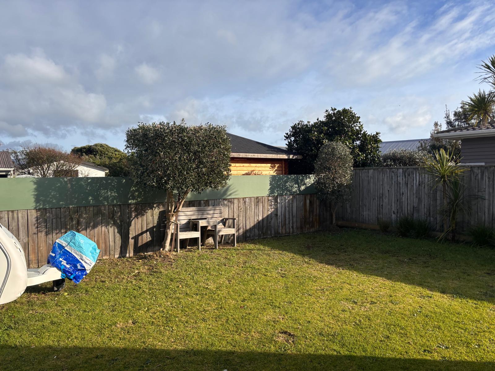 Backyard shape-up