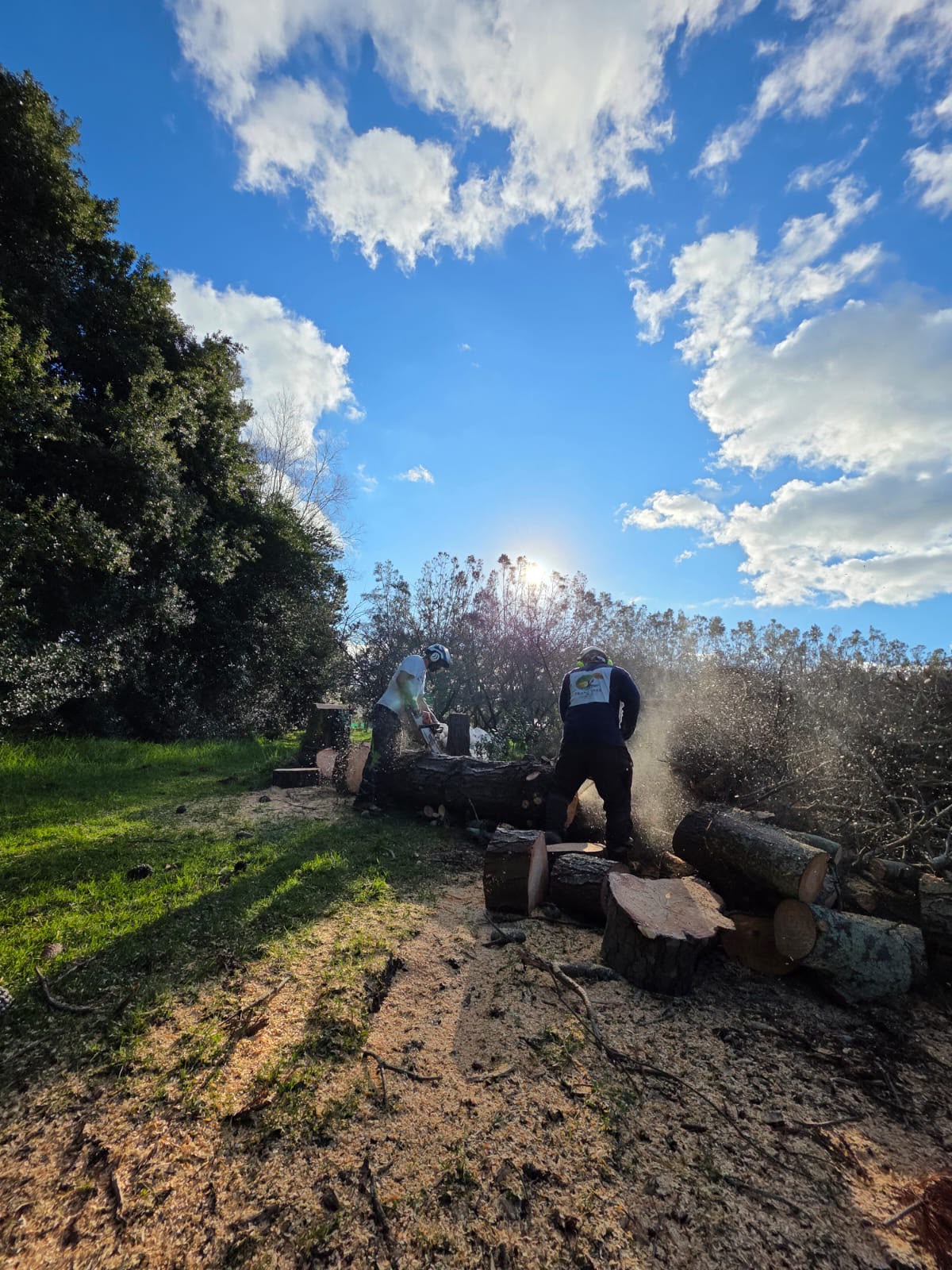 Log processing · two-man
