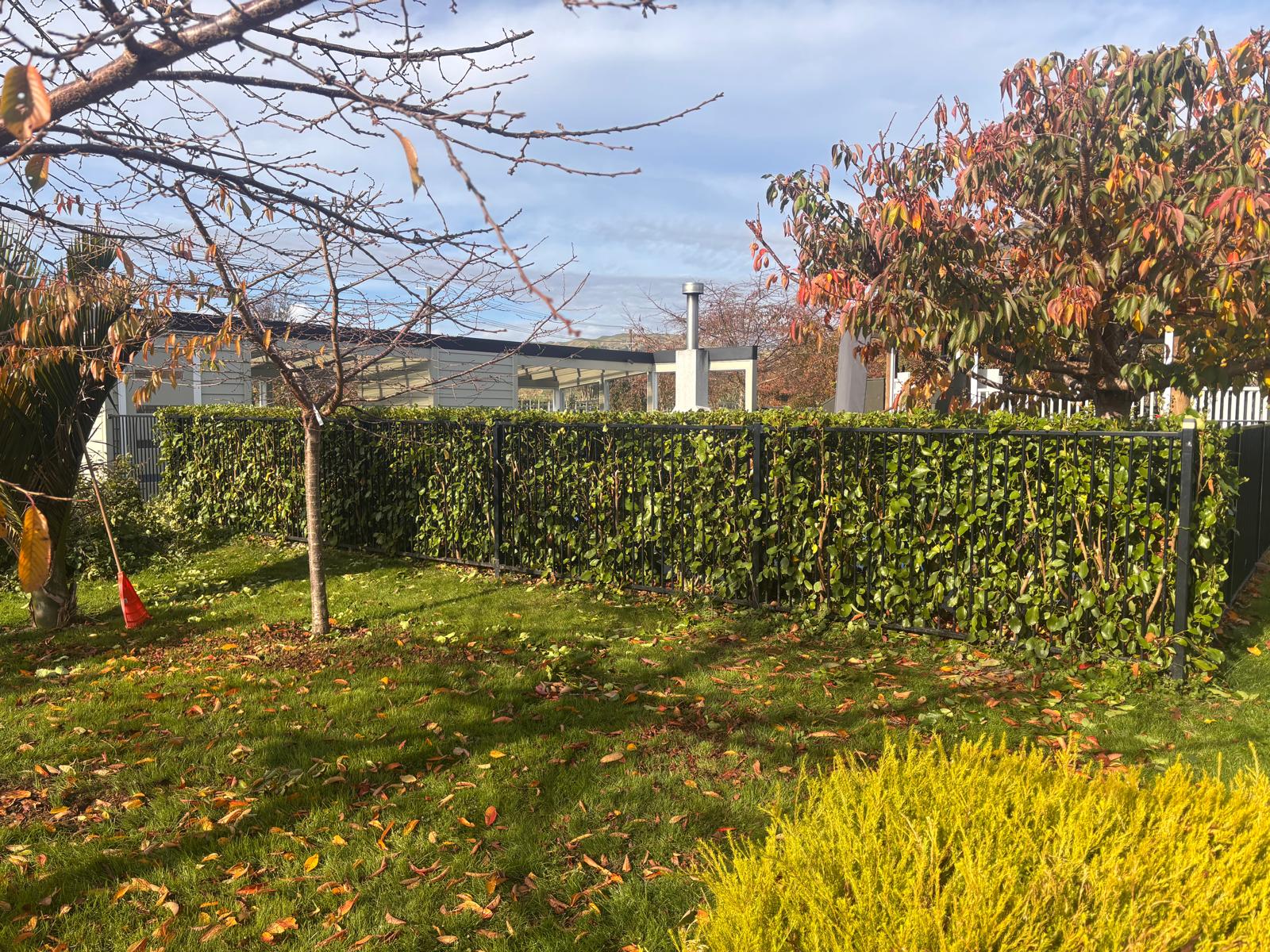 Hedge line · autumn clean-up