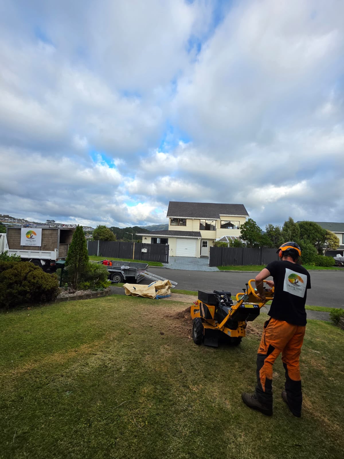 Stump Grinding