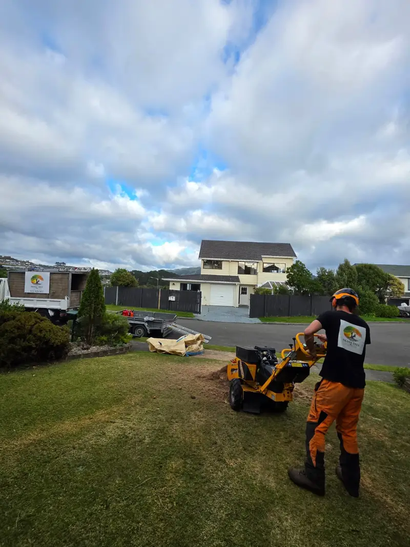 Stump Grinding