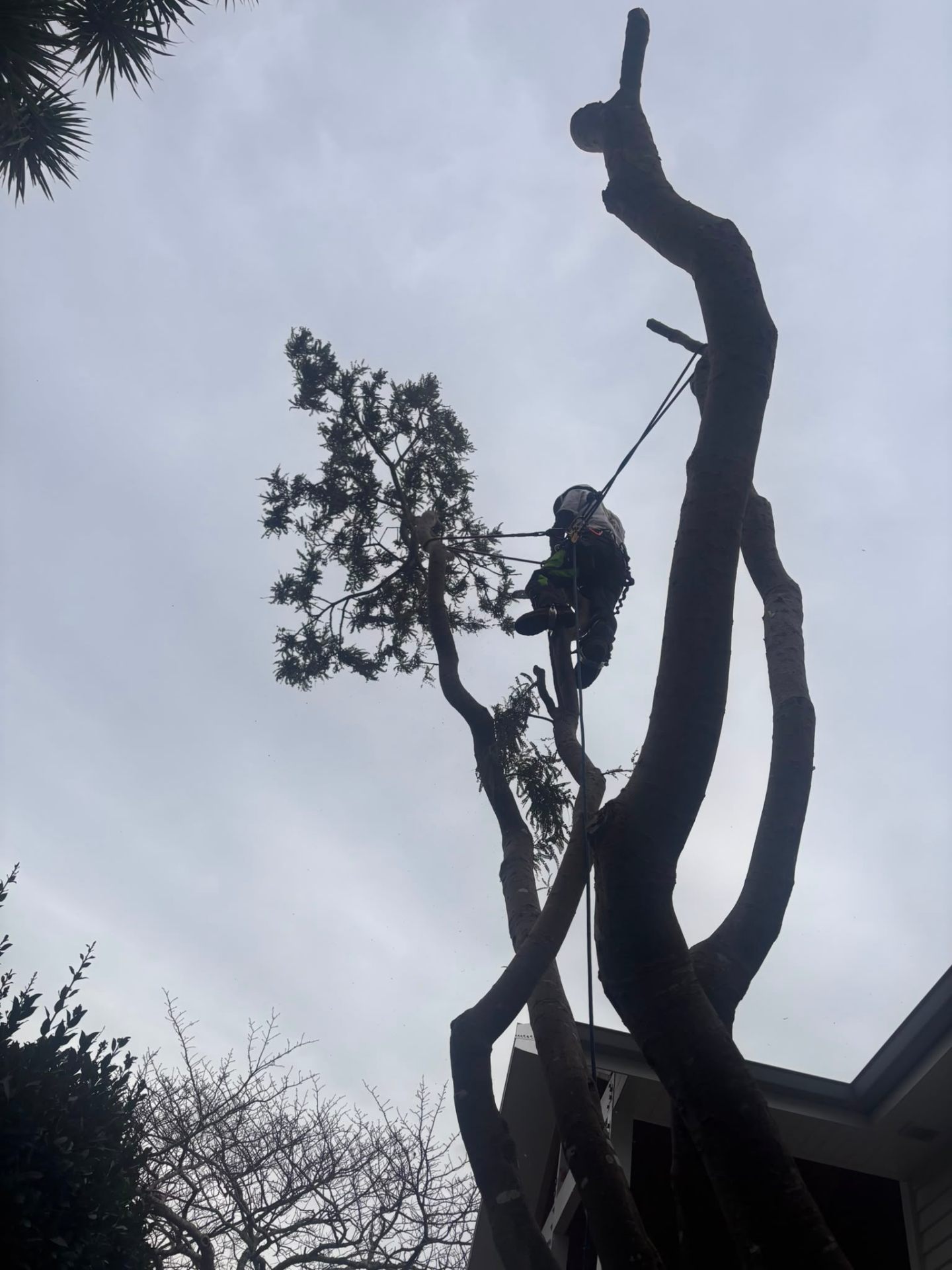 Spar top removal
