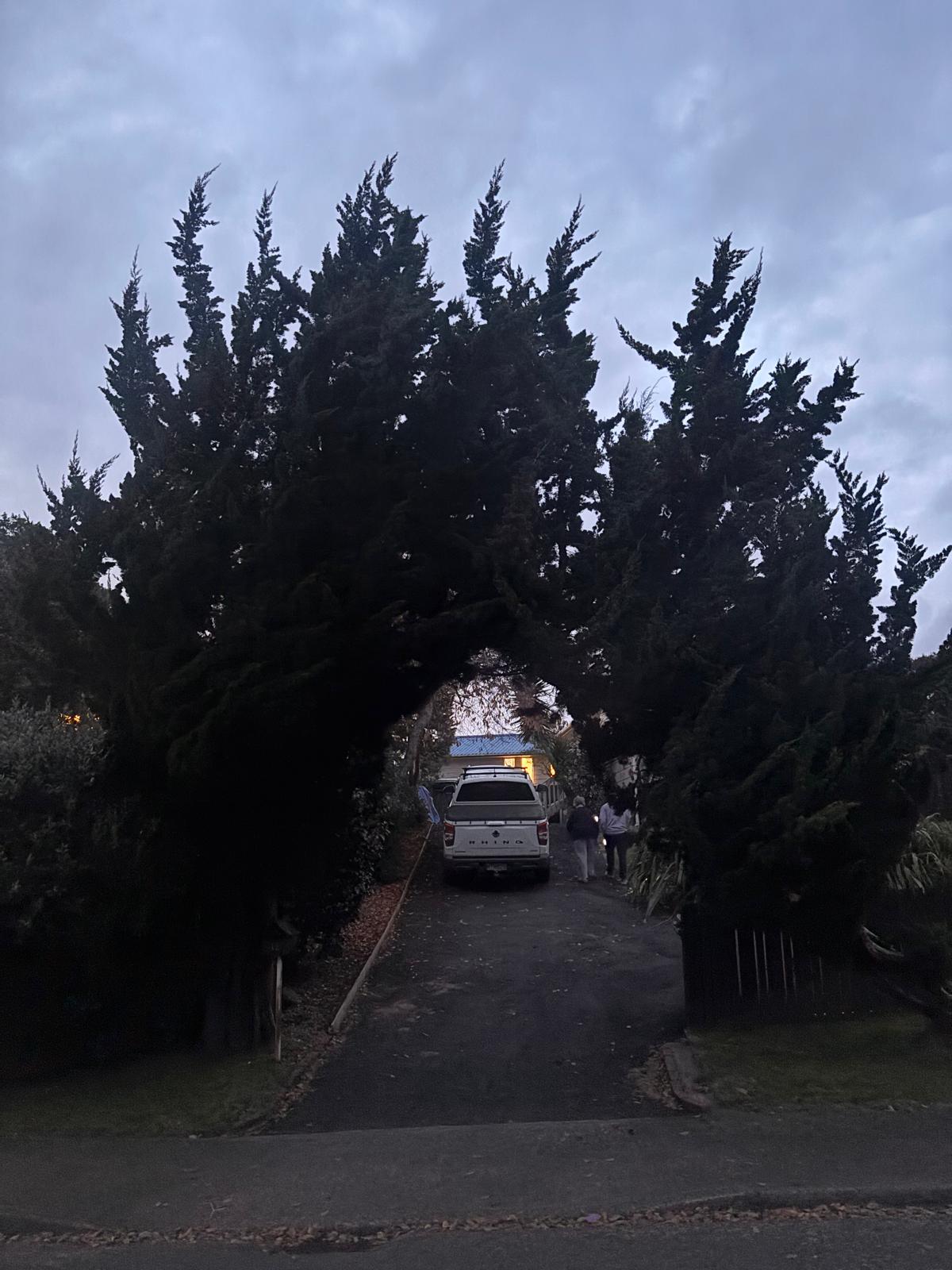 Access · cypress archway