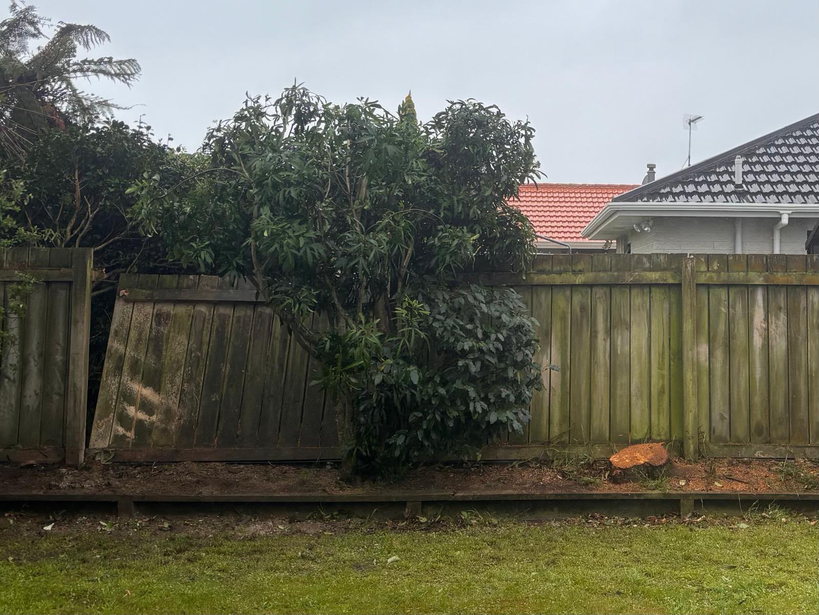 Fence-line clean-up