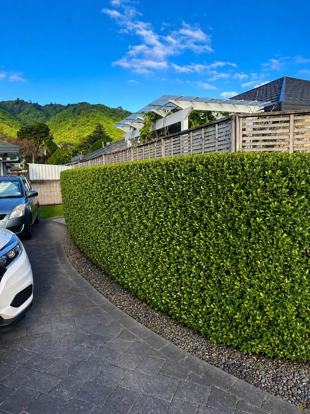 Hedge Trimming