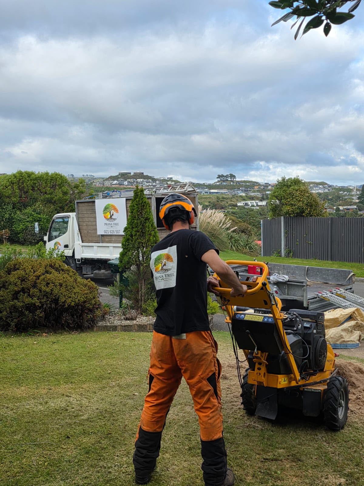 Prana Tree crew with stump grinder and truck