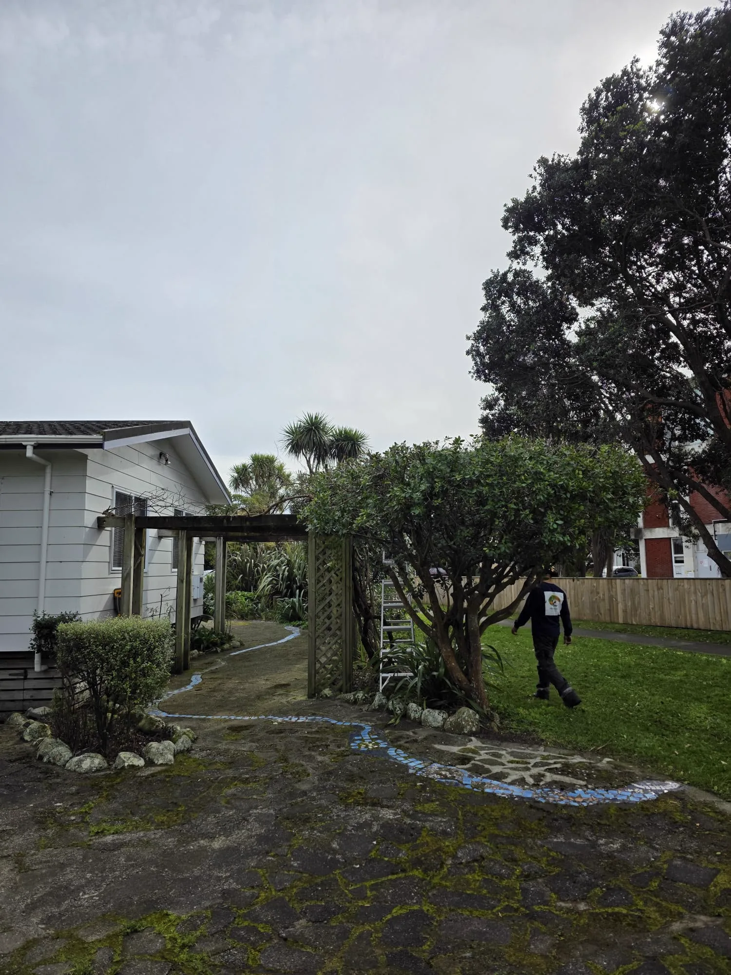 Arborist on site by the pergola