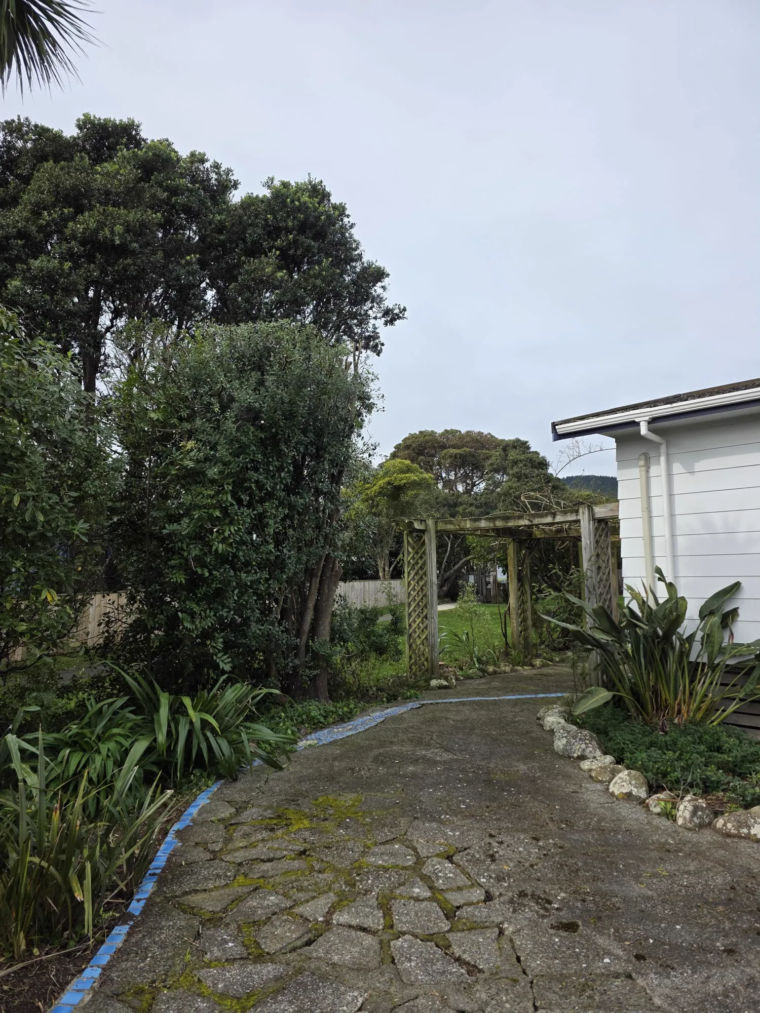 Garden path and pergola before pruning