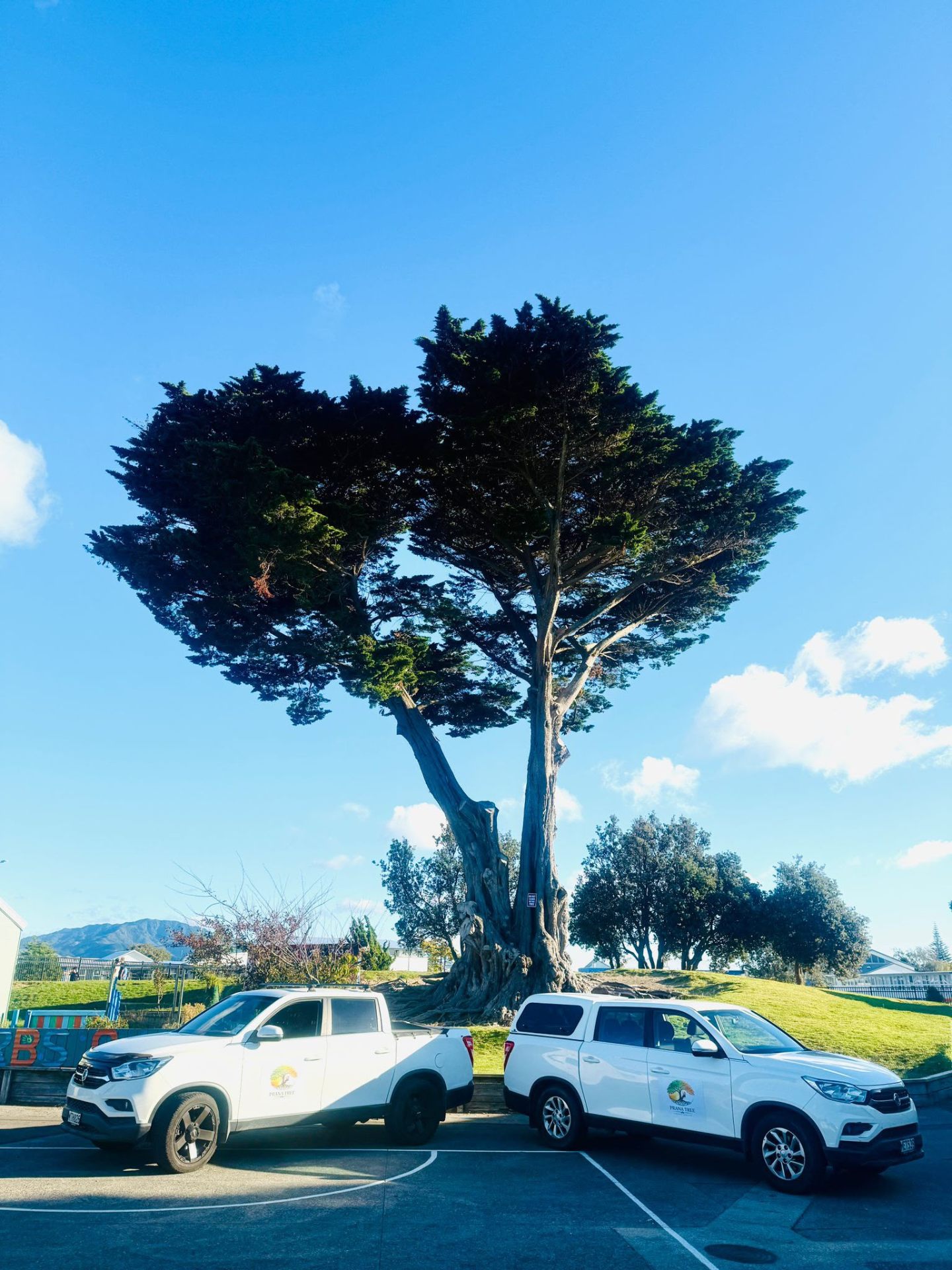 Commercial & Body Corporate Maintenance