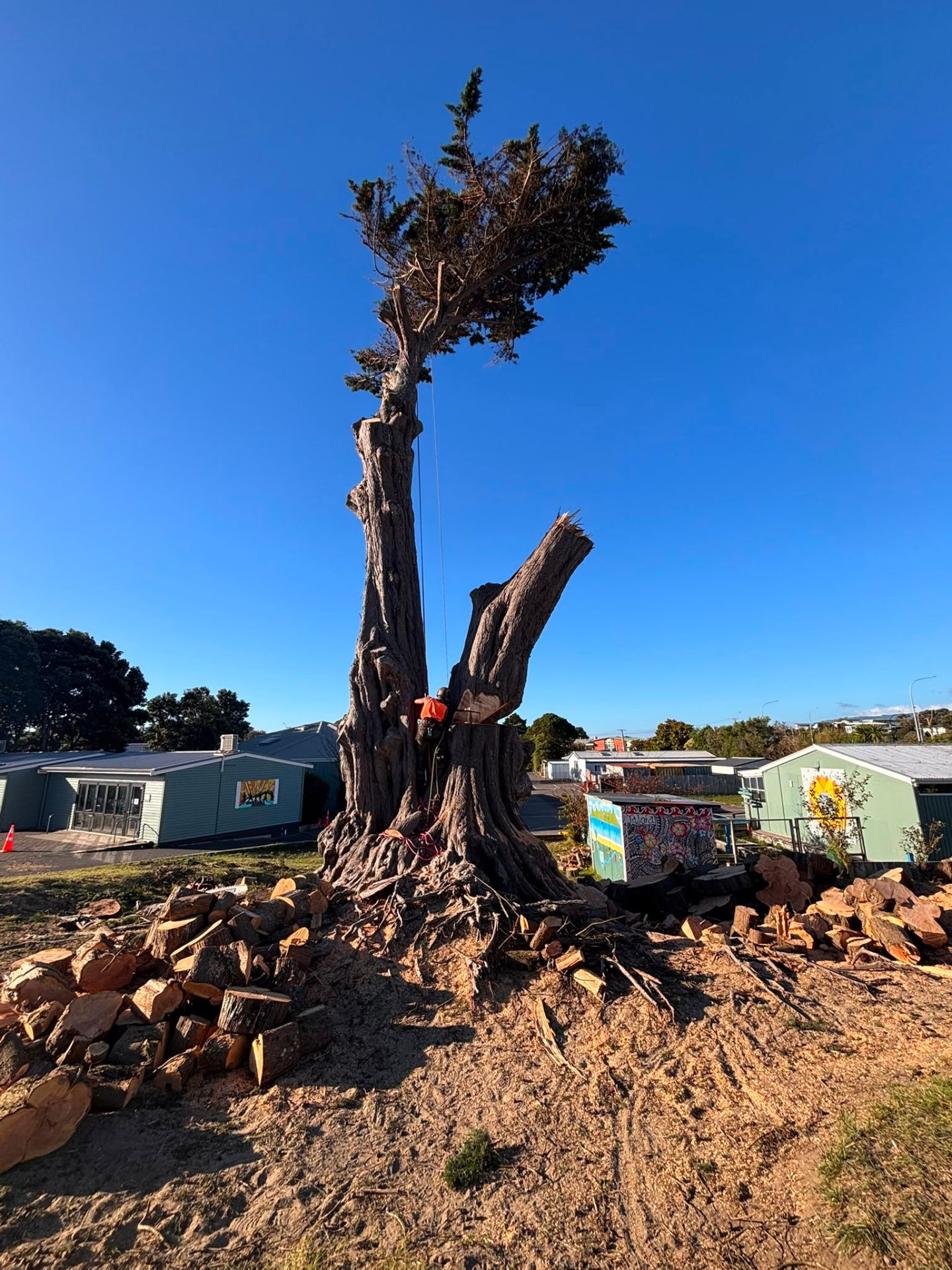 Emergency Tree Services